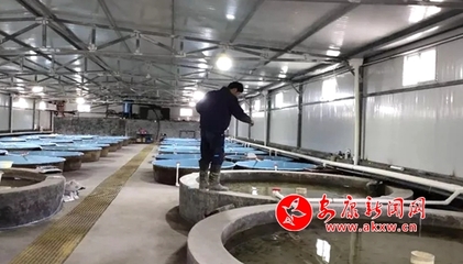 嵐皋縣各漁業(yè)企業(yè)有序開展復(fù)工復(fù)產(chǎn)工作，保障畜牧漁業(yè)飼料供應(yīng)