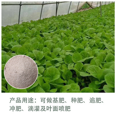 生物肥與飼料肥料 現(xiàn)代農(nóng)業(yè)畜牧漁業(yè)發(fā)展的綠色動(dòng)力